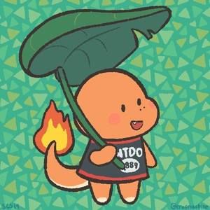 Meet your Posher, Kas